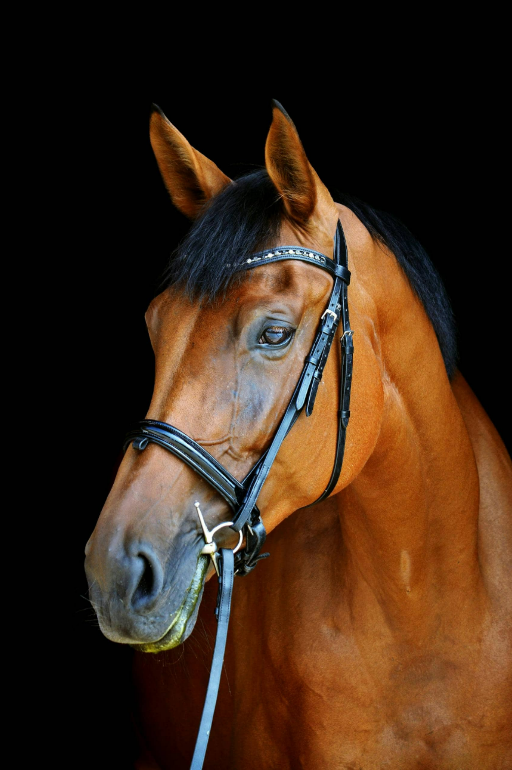 помесячный прогноз здоровья на 2026 год Наталья Королева Ба Цзы китайская медицина огненная лошадь календарь здоровья по месяцам профилактика органов