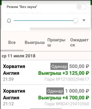 Скриншот выигрышной ставки — эксперимент с Ци Мэнь Дунь Цзя, кейс 60 побед. Футбольный матч  Хорватия-Англия