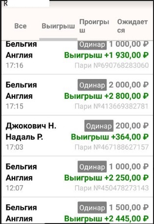 Скриншот выигрышной ставки — эксперимент с Ци Мэнь Дунь Цзя, кейс 60 побед. Футбольный матч  Бельгия- Англия. Наталья Королева